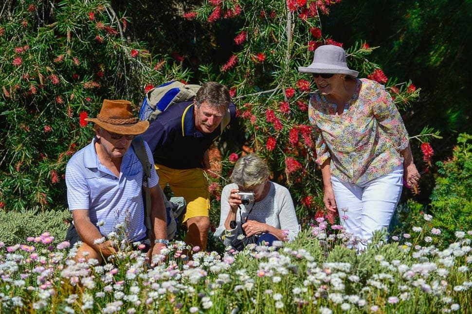 best wildflower tours western australia